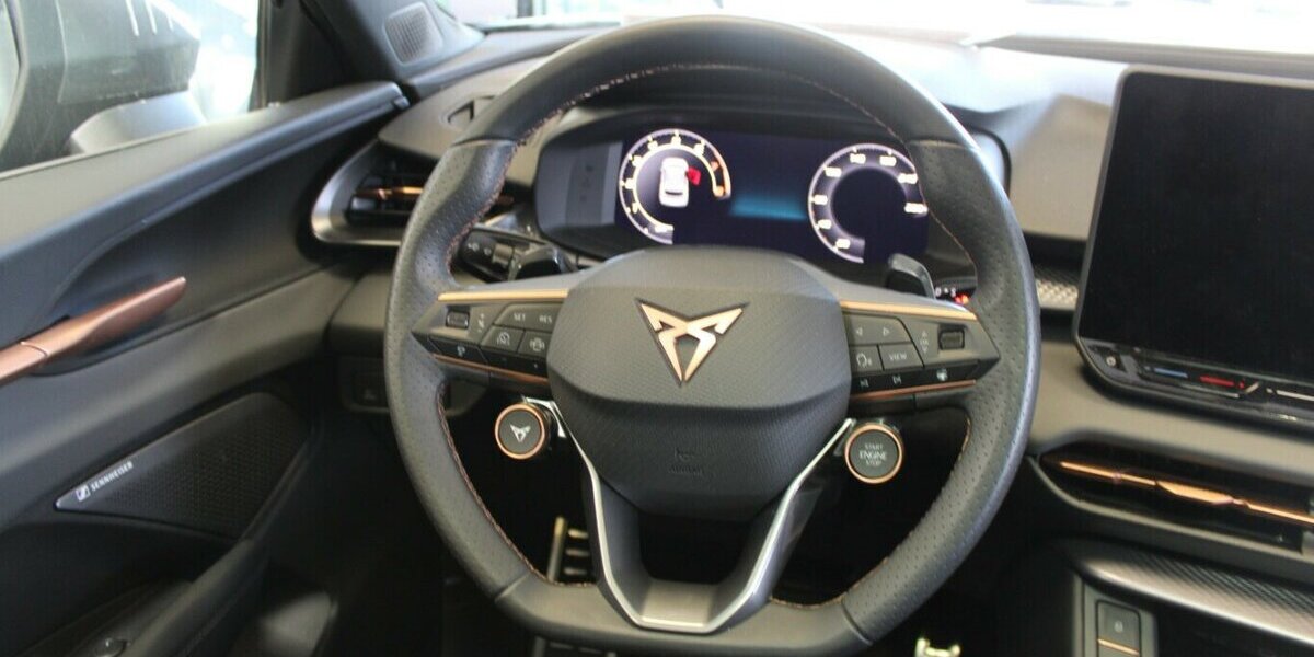 Cupra Terramar 2.0 TSI 4Drive DSG VZ 9.998 km 38.980 &euro; Euskirchen 53881