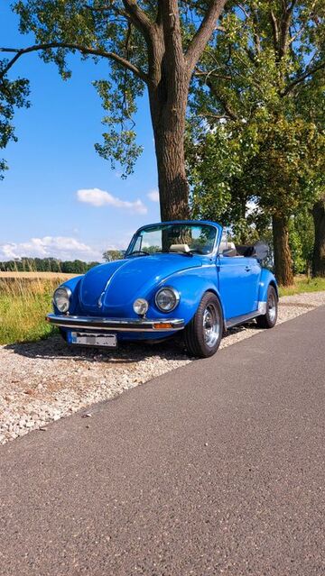 Gebrauchte VW Käfer