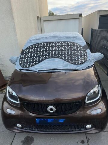 Gebrauchte Smart ForTwo