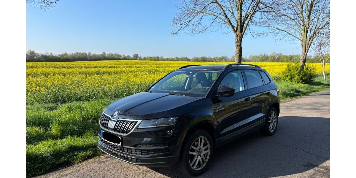 Skoda Karoq 129.817 km 16.900 &euro; Düren 52355