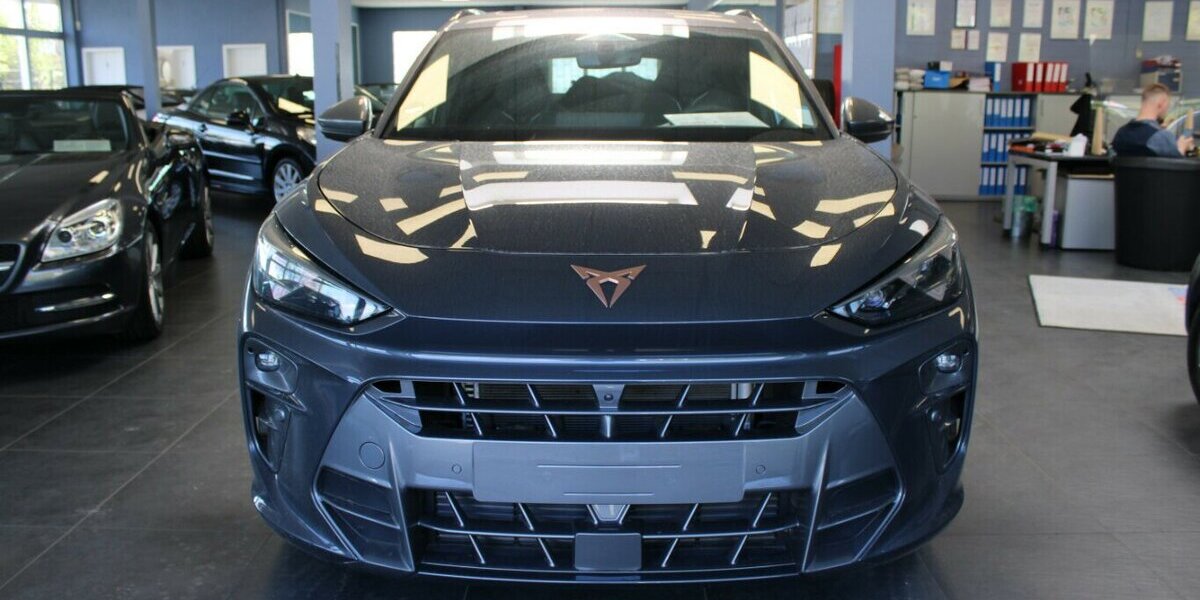 Cupra Terramar 2.0 TSI 4Drive DSG VZ 9.998 km 38.980 &euro; Euskirchen 53881