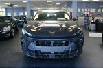 Cupra Terramar 2.0 TSI 4Drive DSG VZ 9.998 km 38.980 &euro; Euskirchen 53881
