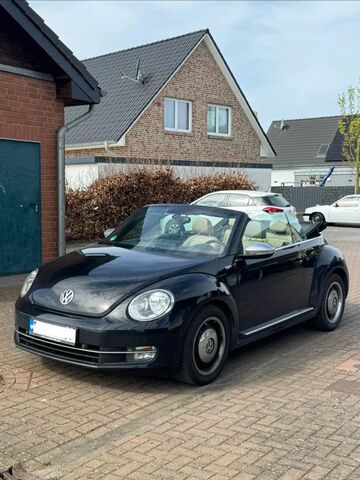 Gebrauchte VW Beetle