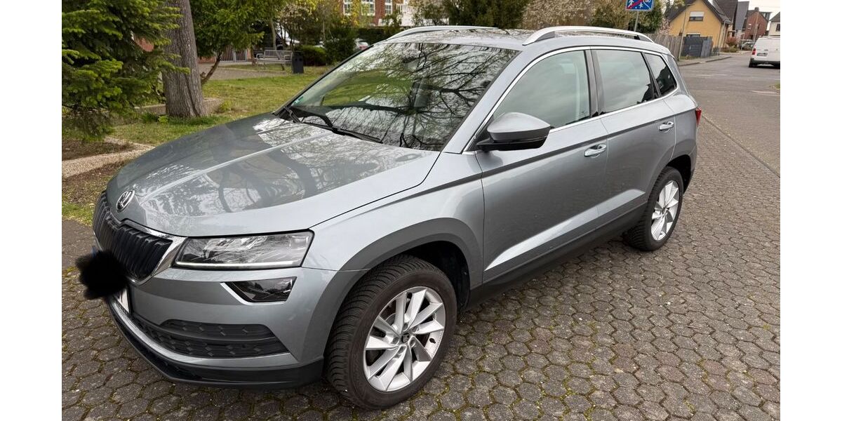 Skoda Karoq 174.000 km 14.500 &euro; Erftstadt / Blessem 50374