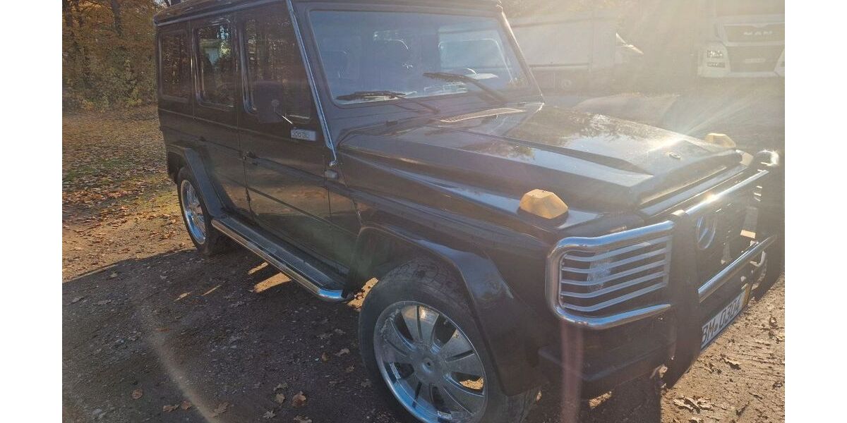 Mercedes-Benz G 300 1.138 km 17.400 &euro; Horrem 50169