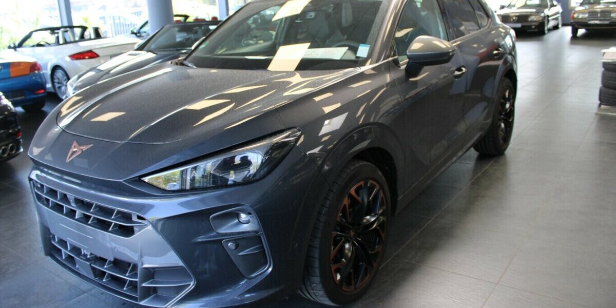 Cupra Terramar 2.0 TSI 4Drive DSG VZ 9.998 km 38.980 &euro; Euskirchen 53881