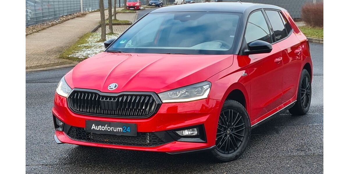 Skoda Fabia 14.500 km 13.999 &euro; Jülich 52428