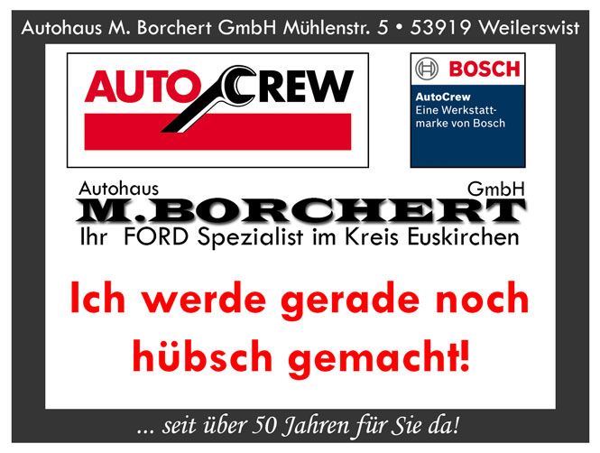 Mercedes-Benz A 180 116.909 km 14.495 &euro; Weilerswist 53919