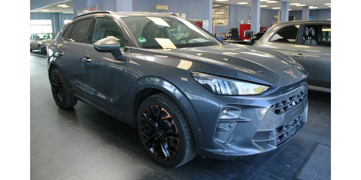 Cupra Terramar 2.0 TSI 4Drive DSG VZ 9.998 km 38.980 &euro; Euskirchen 53881