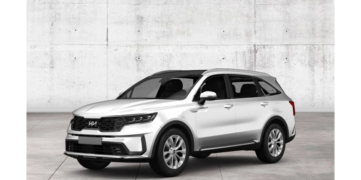 Kia Sorento 22.233 km 47.780 &euro; Düren 52353